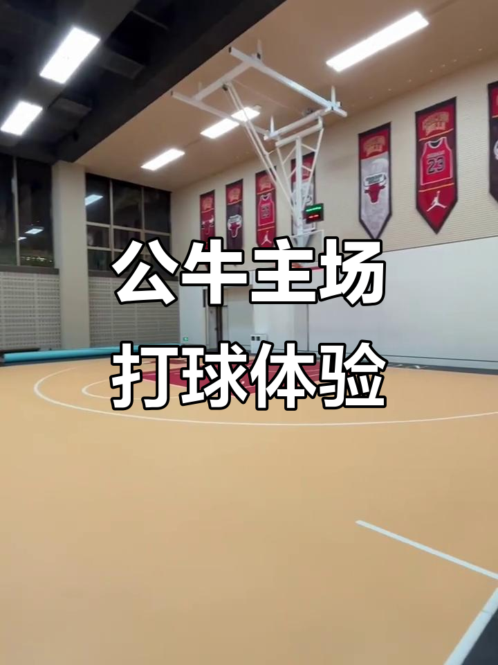 关于芝加哥公牛训练开放日,训练课后单刀错失引观众欢呼,意甲在即,球探报告显示潜力的信息-九游彩金